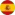 Spaniolă
